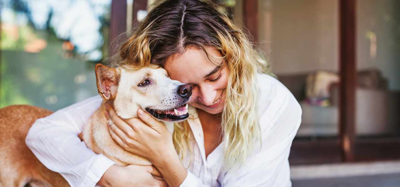 About us all creatures veterinary clinic